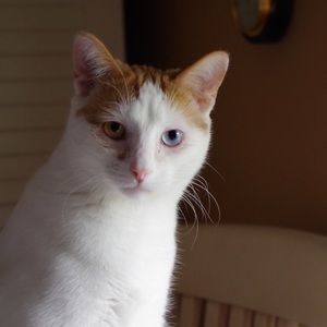 Meet your Posher, Elle